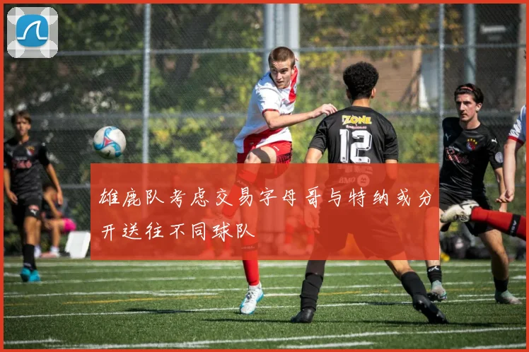 雄鹿队考虑交易字母哥与特纳或分开送往不同球队