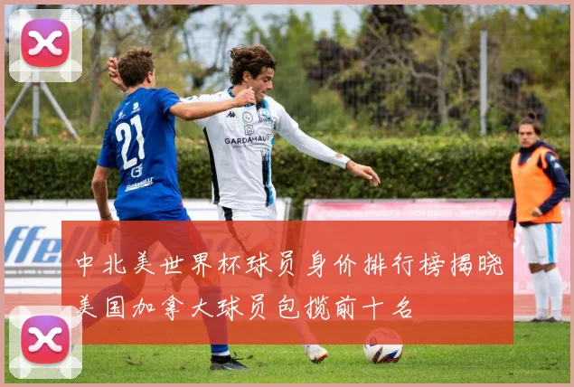 中北美世界杯球员身价排行榜揭晓美国加拿大球员包揽前十名