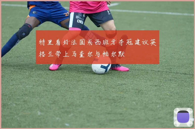特里看好法国或西班牙夺冠建议英格兰带上马奎尔与帕尔默